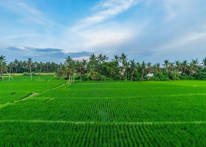 Maruan Sari * Ubud